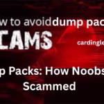 main001 Dump Packs: How Noobs Get Scammed in 2025